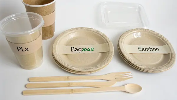 Different types of biodegradable tableware like PLA cups, bagasse plates, and bamboo cutlery